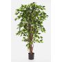 Artificial Ficus tree JARLAN, real stems, green, 6ft/180cm