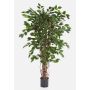 Fake Ficus tree AMELIO, natural stems, green, 7ft/210cm