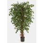 Fake Ficus tree DAKU, natural stems, green, 3ft/90cm