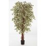 Artificial Ficus tree DAKU, natural stems, green-white, 4ft/120cm