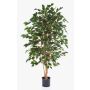 Artificial Ficus tree THIAGO, natural stems, green, 7ft/210cm