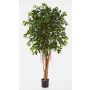 Silk Ficus AURIOL, real stems, green, 7ft/210cm