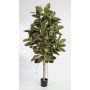 Artificial Rubber tree DEVI, natural stem, green-white, 6ft/180cm