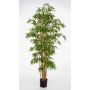 Fake Arrow bamboo KAITO, natural stems, green, 7ft/200cm
