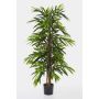 Fake Ficus Longifolia AKUMO, real stems, green, 5ft/150cm