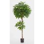 Artificial Pachira EURELYO, real stem, 6ft/180cm
