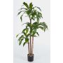 Artificial Dracaena Fragrans LAURA, real stems, green, 4ft/120cm