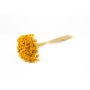 Dried bouquet AVISSA, Brazilian hill flower, yellow, 18"-24"/45-60cm, Ø5.1"/13cm