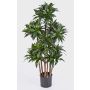 Artificial Dracaena Fragrans Compact DOMINGO, real stems, green, 4ft/120cm