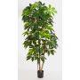 Artificial Schefflera COOPER, real stems, green, 7ft/220cm