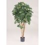 Artificial Schefflera SIENNA, real stems, green, 5ft/140cm