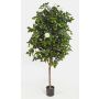 Fake Camellia tree RIKA, real stem, blooms, white, 6ft/170cm