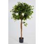 Fake Camellia tree ERINA, real stems, with flowers, white, 5ft/160cm