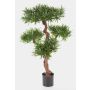 Artificial Podocarpus TITUS, natural stem, green, 4ft/110cm