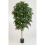 Artificial Orange tree CELIA, real stem, with fruits, green, 6ft/170cm