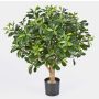 Artificial Pittosporum ETHAN, natural stem, 26"/65cm, Ø 26"/65cm