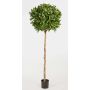 Fake Laurel ball tree CAIUS, real stem, green, 6ft/170cm, Ø 20"/50cm