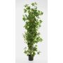 Artificial Grapevine NIKA, natural stems, green, 4ft/130cm