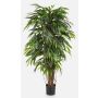 Fake Ficus Longifolia PARI, natural stems, green, 6ft/180cm