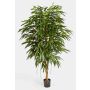 Fake Ficus Longifolia HISA, natural stem, green, 6ft/180cm