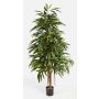 Artificial Ficus Longifolia LENYA, real stems, green, 6ft/180cm