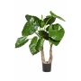 Fake Alocasia Calidora SURI, green, 3ft/100cm