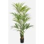 Artificial Kentia palm OMAYRA, 6ft/170cm