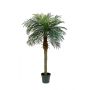 Fake Phoenix palm CAMILA, 5ft/150cm