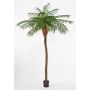 Artificial Phoenix palm ELIZABETH, 7ft/225cm