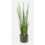 Artificial sansevieria MERVE, green, 3ft/100cm