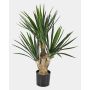 Fake Yucca palm KEYLA, 28"/70cm