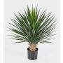 Artificial bushy Yucca rostrata RAFFAELA, 31"/80cm