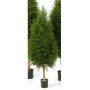Artificial Cedar YVONNE, green, 6ft/180cm