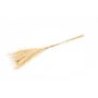 Dried pampas grass ANAHITA, natural, 24"/60cm, Ø3.1"/8cm