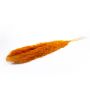 Dried bunch of pampas grass ANIAMI, orange, 4ft-5ft/130-140cm, Ø8"/20cm