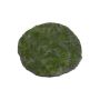 Round decorative moss mat FANGYU, green, Ø12"/30cm