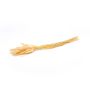 Dried Lagurus grass BORKA, bunch, cream, 22"-30"/55-75cm, Ø4.7"/12cm