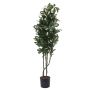 Plastic Schefflera PAMINA, artificial stems, green-white, 4ft/120cm
