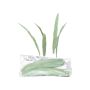 Artificial reed grass YAMIAN, 36 pieces, green-white, 6"/15cm
