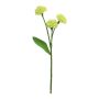 Decorative carnation flower YISHU, light green, 12"/30cm