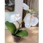 Artificial Phalaenopsis orchid XALIA in glass, white, 10"/25cm