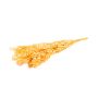 Dried ruscus branches AGNIATA, peach, 28"-30"/70-75cm, Ø7"/17cm