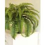 Artificial sword fern MARILYNNE, green, 18"/45cm, Ø30"/75cm