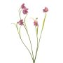 Artificial branch Fritillary PITARA, hot pink-white, 50cm