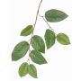 Artificial apple tree spray KONSTANTIN, green, 30"/75cm