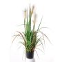 Silk reed grass EYOTA with panicles, green-brown, 31"/80cm