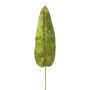 Velvet banana leaf AOXUE, green, 28"/70cm