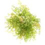 Artificial fern TIANZHI with gaultheria berries, green-pink, 12"/30cm