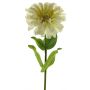 Artificial Zinnia MIANMO, cream, 24"/60cm