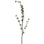 Artificial witch hazel branch DEYONG with flowers, cream-green, 3ft/90cm